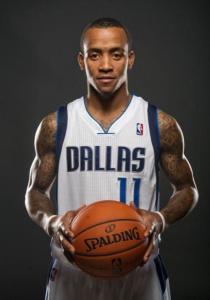 的伴侣形象 的伴侣形象