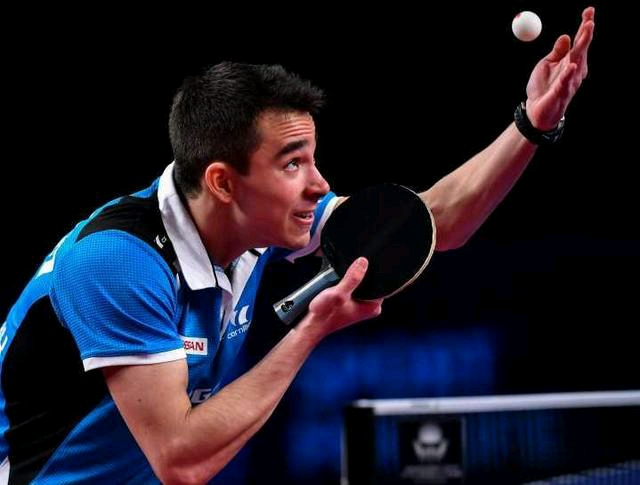 波兰组合的 波兰组合的